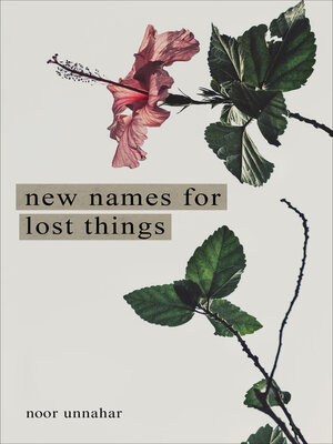 cover image of New Names for Lost Things